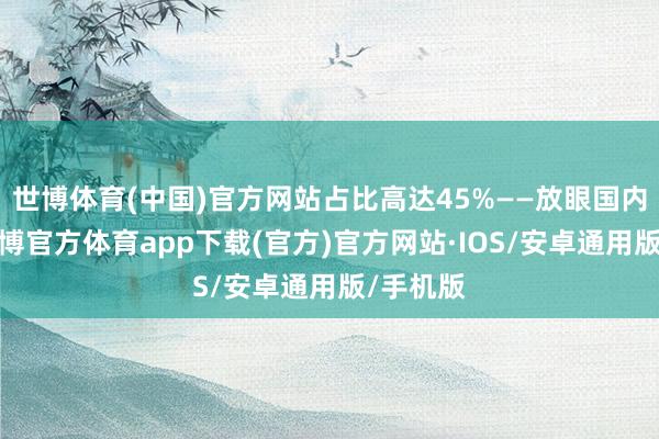 世博体育(中国)官方网站占比高达45%——放眼国内同侪-世博官方体育app下载(官方)官方网站·IOS/安卓通用版/手机版