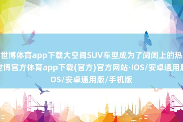 世博体育app下载大空间SUV车型成为了阛阓上的热点弃取-世博官方体育app下载(官方)官方网站·IOS/安卓通用版/手机版
