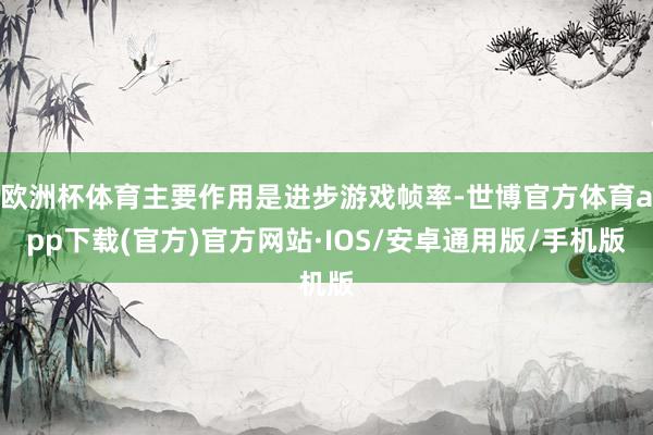 欧洲杯体育主要作用是进步游戏帧率-世博官方体育app下载(官方)官方网站·IOS/安卓通用版/手机版