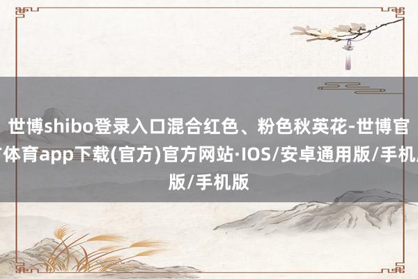 世博shibo登录入口混合红色、粉色秋英花-世博官方体育app下载(官方)官方网站·IOS/安卓通用版/手机版