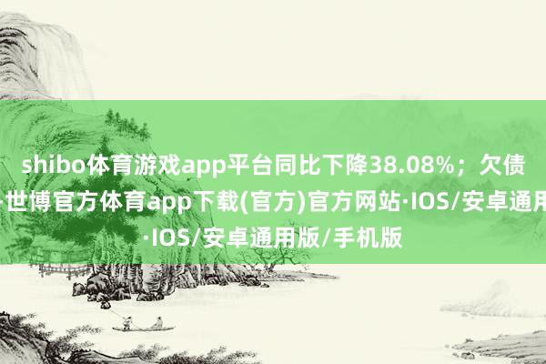shibo体育游戏app平台同比下降38.08%；欠债率65.33%-世博官方体育app下载(官方)官方网站·IOS/安卓通用版/手机版
