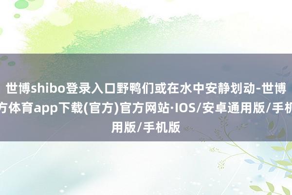 世博shibo登录入口野鸭们或在水中安静划动-世博官方体育app下载(官方)官方网站·IOS/安卓通用版/手机版