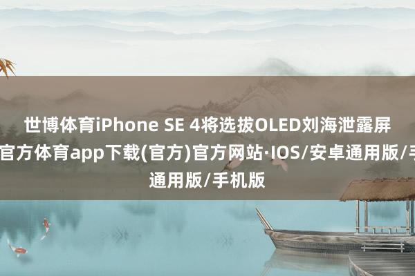 世博体育iPhone SE 4将选拔OLED刘海泄露屏-世博官方体育app下载(官方)官方网站·IOS/安卓通用版/手机版