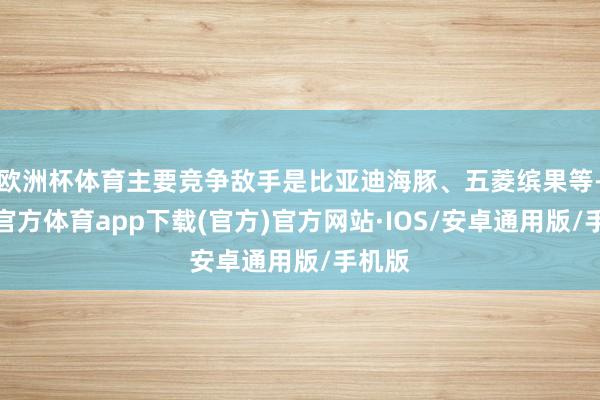 欧洲杯体育主要竞争敌手是比亚迪海豚、五菱缤果等-世博官方体育app下载(官方)官方网站·IOS/安卓通用版/手机版