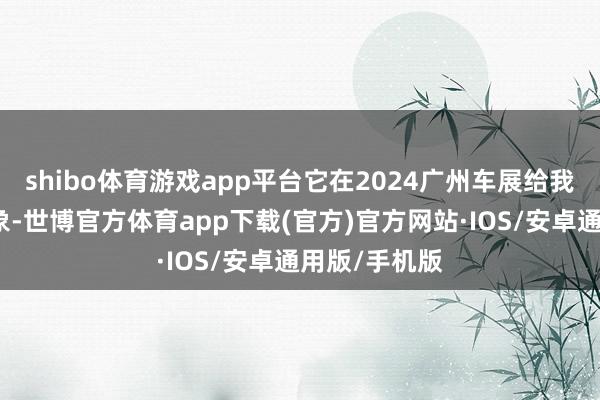 shibo体育游戏app平台它在2024广州车展给我留住深切印象-世博官方体育app下载(官方)官方网站·IOS/安卓通用版/手机版
