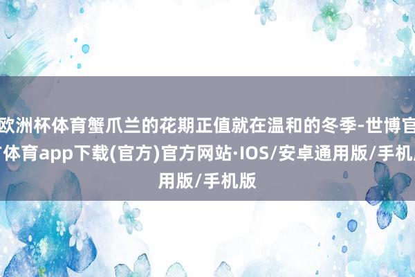 欧洲杯体育蟹爪兰的花期正值就在温和的冬季-世博官方体育app下载(官方)官方网站·IOS/安卓通用版/手机版