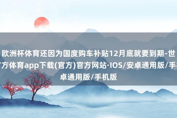 欧洲杯体育还因为国度购车补贴12月底就要到期-世博官方体育app下载(官方)官方网站·IOS/安卓通用版/手机版