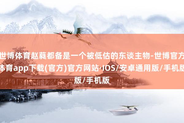 世博体育赵蕤都备是一个被低估的东谈主物-世博官方体育app下载(官方)官方网站·IOS/安卓通用版/手机版