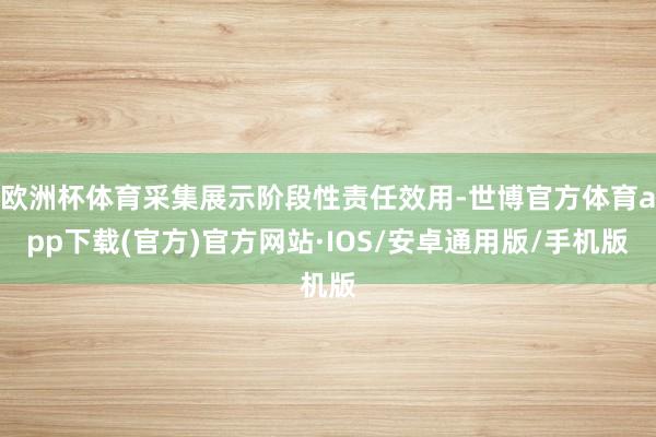 欧洲杯体育采集展示阶段性责任效用-世博官方体育app下载(官方)官方网站·IOS/安卓通用版/手机版