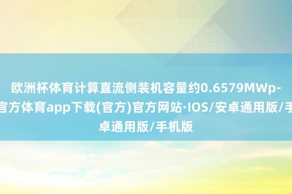 欧洲杯体育计算直流侧装机容量约0.6579MWp-世博官方体育app下载(官方)官方网站·IOS/安卓通用版/手机版