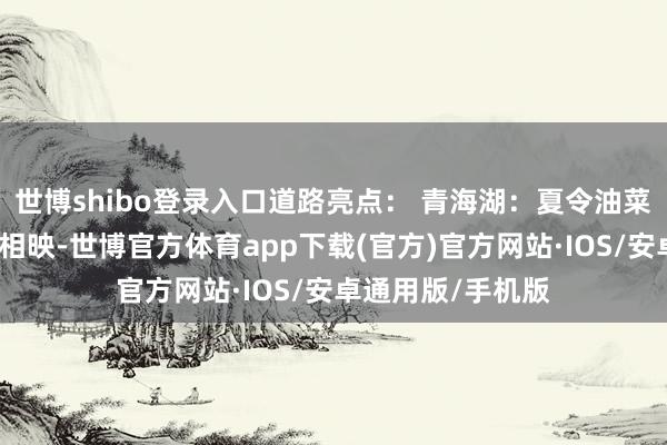 世博shibo登录入口道路亮点： 青海湖：夏令油菜花海与蔚蓝湖水相映-世博官方体育app下载(官方)官方网站·IOS/安卓通用版/手机版