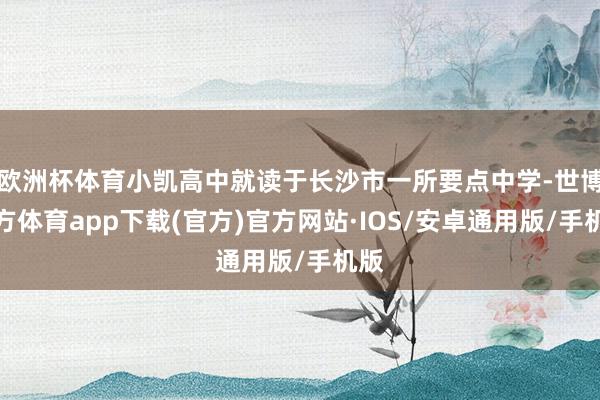 欧洲杯体育小凯高中就读于长沙市一所要点中学-世博官方体育app下载(官方)官方网站·IOS/安卓通用版/手机版