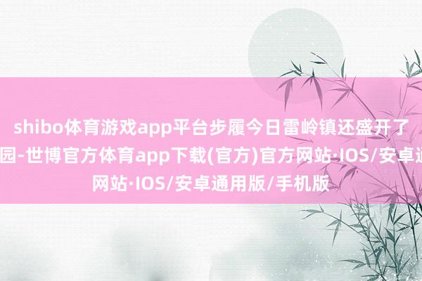 shibo体育游戏app平台步履今日雷岭镇还盛开了多个免费自摘园-世博官方体育app下载(官方)官方网站·IOS/安卓通用版/手机版