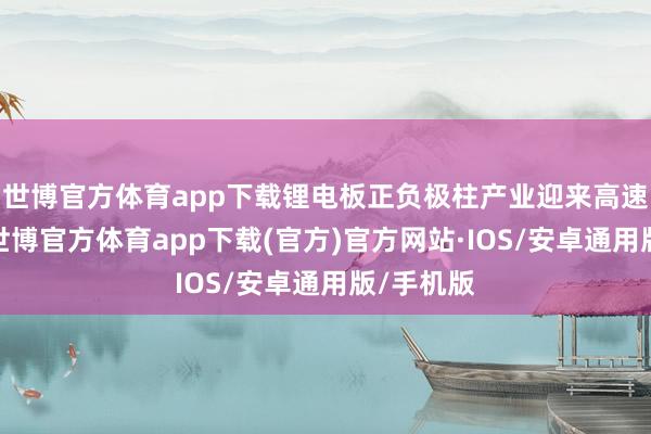 世博官方体育app下载锂电板正负极柱产业迎来高速发缓期-世博官方体育app下载(官方)官方网站·IOS/安卓通用版/手机版
