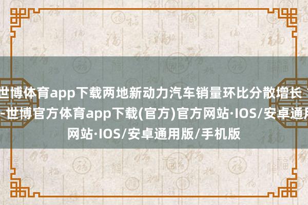 世博体育app下载两地新动力汽车销量环比分散增长 18% 和 15%-世博官方体育app下载(官方)官方网站·IOS/安卓通用版/手机版