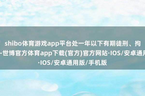 shibo体育游戏app平台处一年以下有期徒刑、拘役或者经管-世博官方体育app下载(官方)官方网站·IOS/安卓通用版/手机版