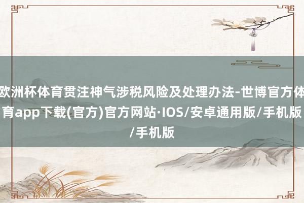 欧洲杯体育贯注神气涉税风险及处理办法-世博官方体育app下载(官方)官方网站·IOS/安卓通用版/手机版