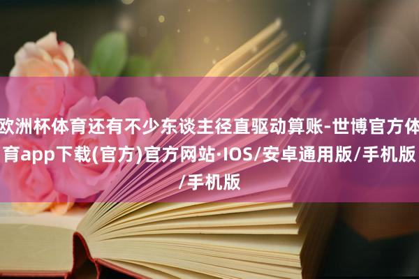 欧洲杯体育还有不少东谈主径直驱动算账-世博官方体育app下载(官方)官方网站·IOS/安卓通用版/手机版